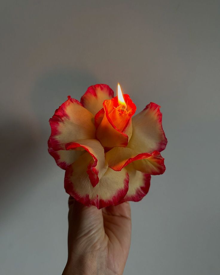 Alquimia de Ceras - Formulas Para Cera Moldeable, BPF y MPF + 6 BONOS Exclusivos