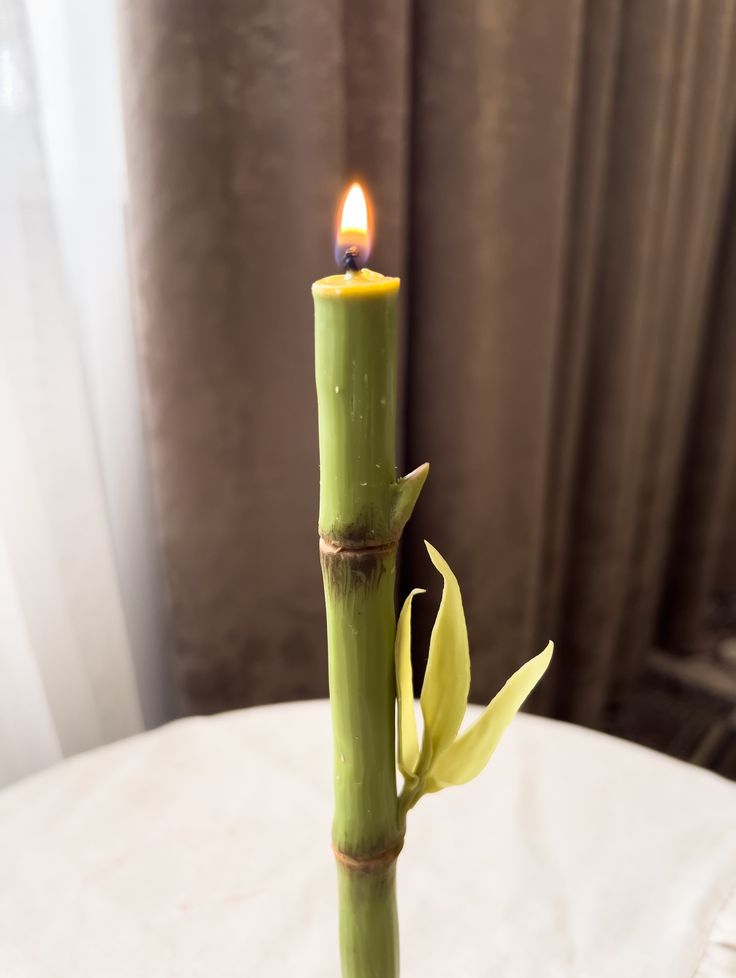 Alquimia de Ceras - Formulas Para Cera Moldeable, BPF y MPF + 6 BONOS Exclusivos