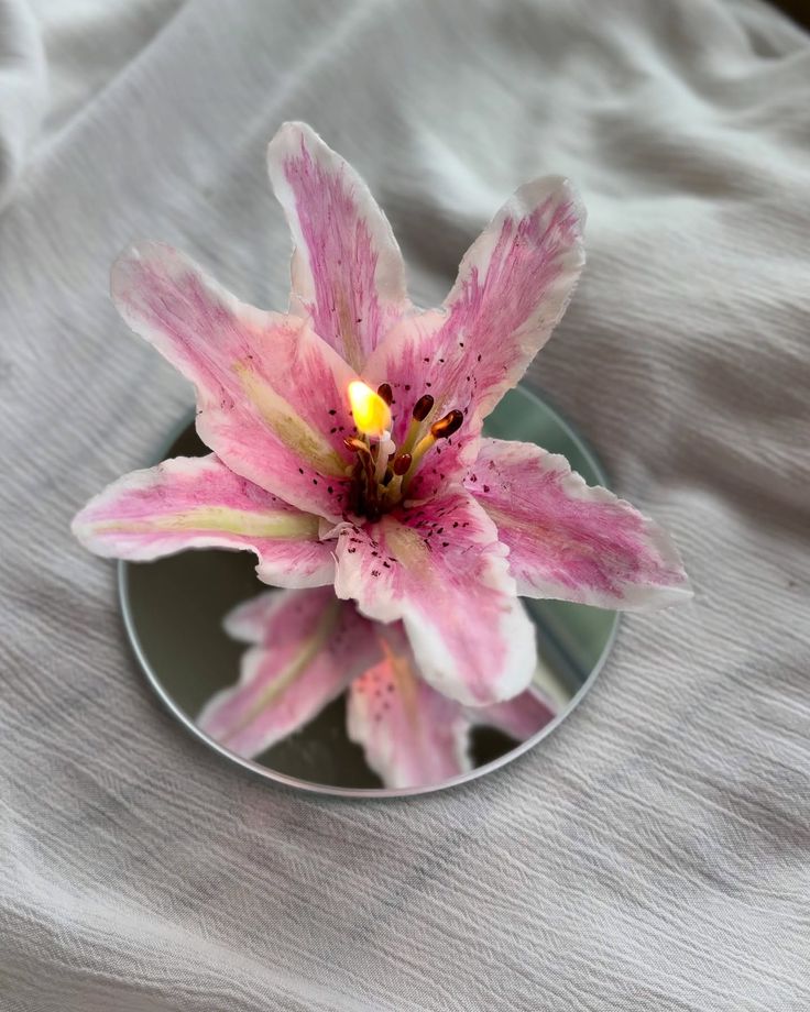 Alquimia de Ceras - Formulas Para Cera Moldeable, BPF y MPF + 6 BONOS Exclusivos