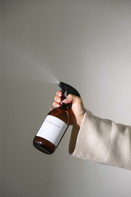 GUÍA MAESTRA DE HOME SPRAY